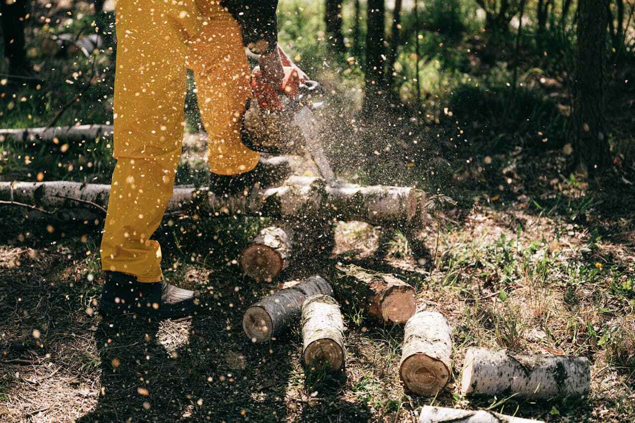 Garden View, PA Tree Service Company